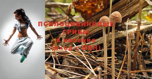 стафф Алзамай