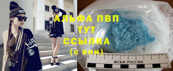 стафф Алзамай