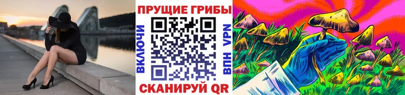 Галлюциногенные грибы GOLDEN TEACHER  Муравленко 