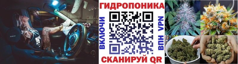 Шишки марихуана сатива Муравленко