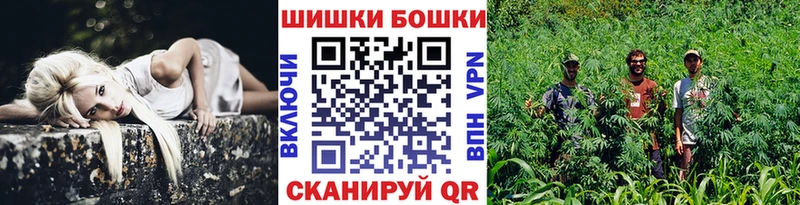 MEGA ONION Муравленко Бошки Шишки гибрид
